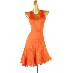Customisable-Women's V-neck Tassel Backless Dancewear Dance Dress Performance Dress
