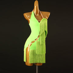 Customisable-Women's Performance Sleeveless Tassel Latin Salsa Dance Dress Competition Dress