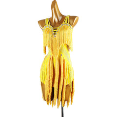Customisable-Women's Tassel DanceWear Dance Dress Performance Wear