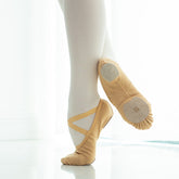 Women's Stretch Canvas Split-Sole Ballet Shoes