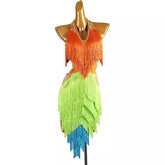 Customisable-Women's Tassel DanceWear Dance Dress Performance Wear