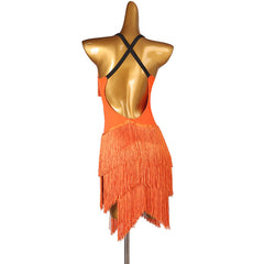 Customisable-Women's Performance Sleeveless Tassels Latin Salsa Dance Dress Competition Dress