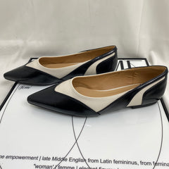 Two-Tone Pointed-Toe Low Heels