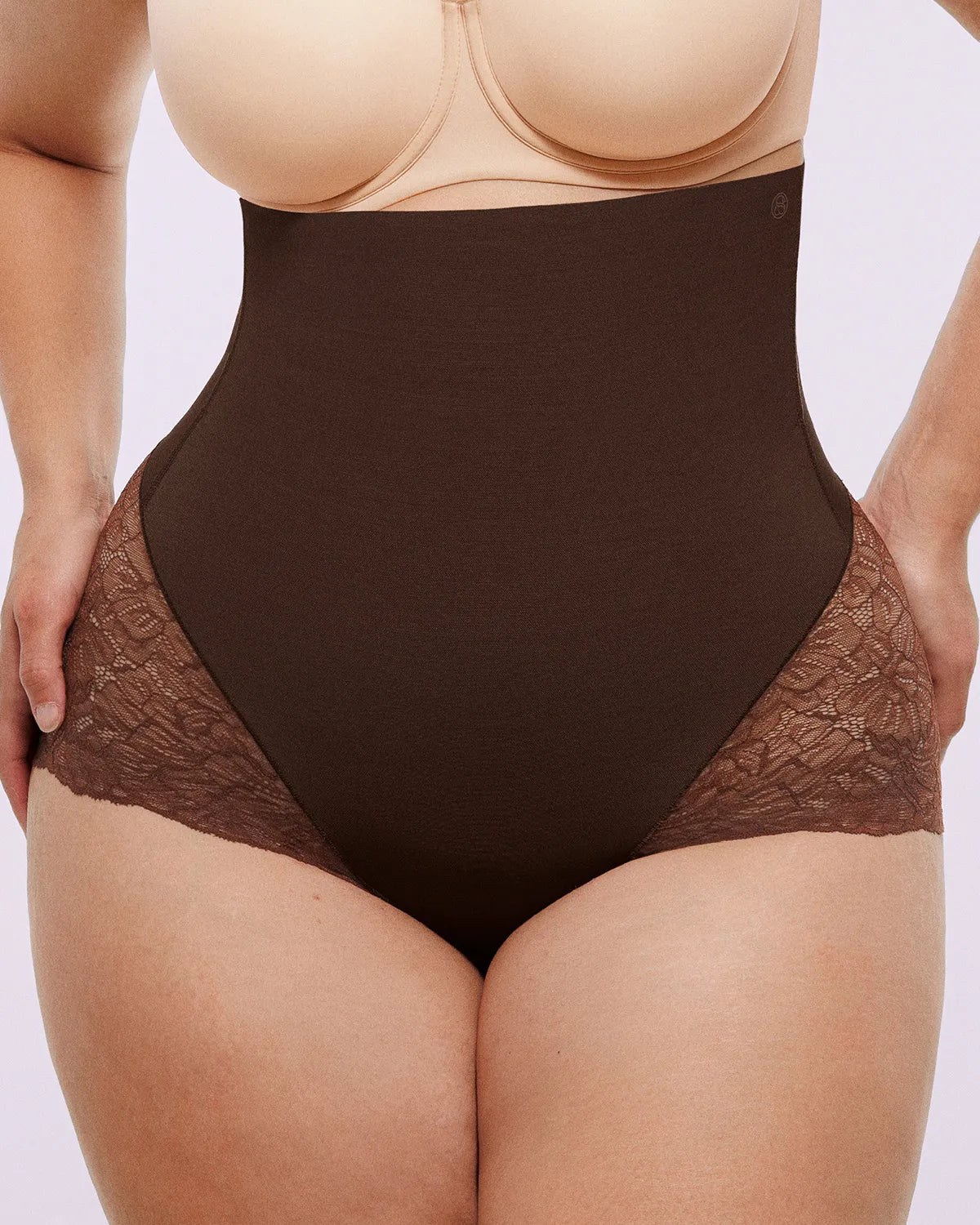 Bare Essentialsâ„?MeshSmoothâ„?High-Waisted  Sheer Lace Brief