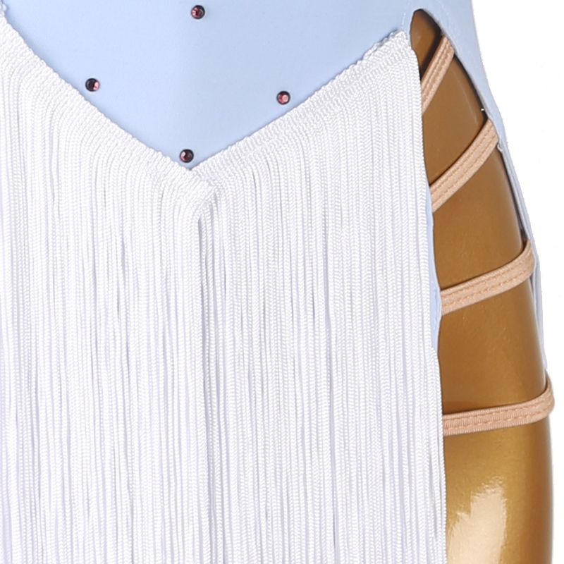 Customisable-Women's Sky Blue Tassel DanceWear Dance Dress Performance Wear