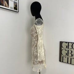 Fitted Lace Flared Dress